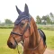 Kingsland Nelly Crochet flue hut, navy str.full
