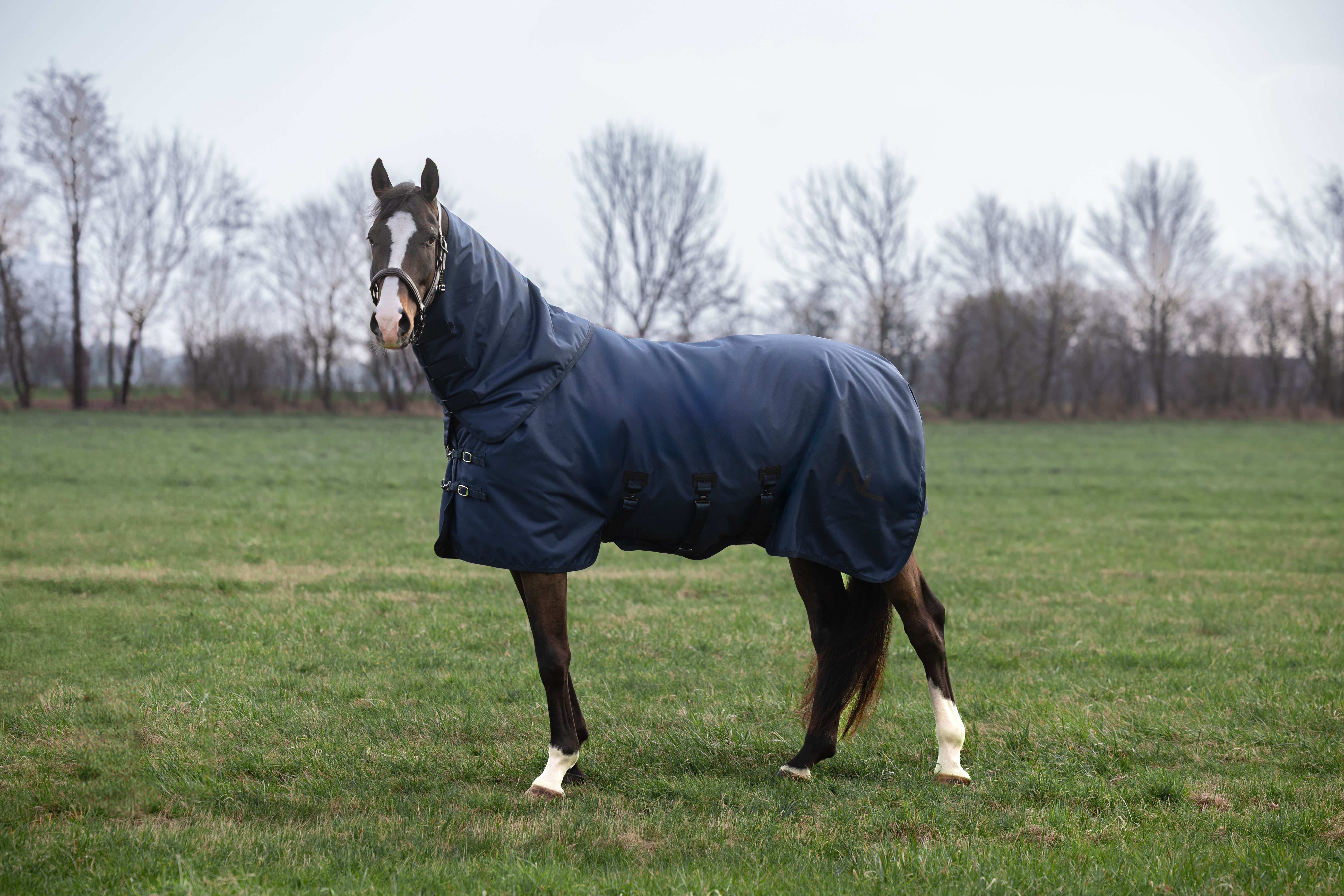 Kingsland Mindy Turnout Rug 200 g. navy