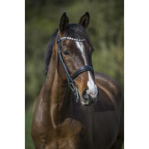 byWeber Kandar Mary Marguerit