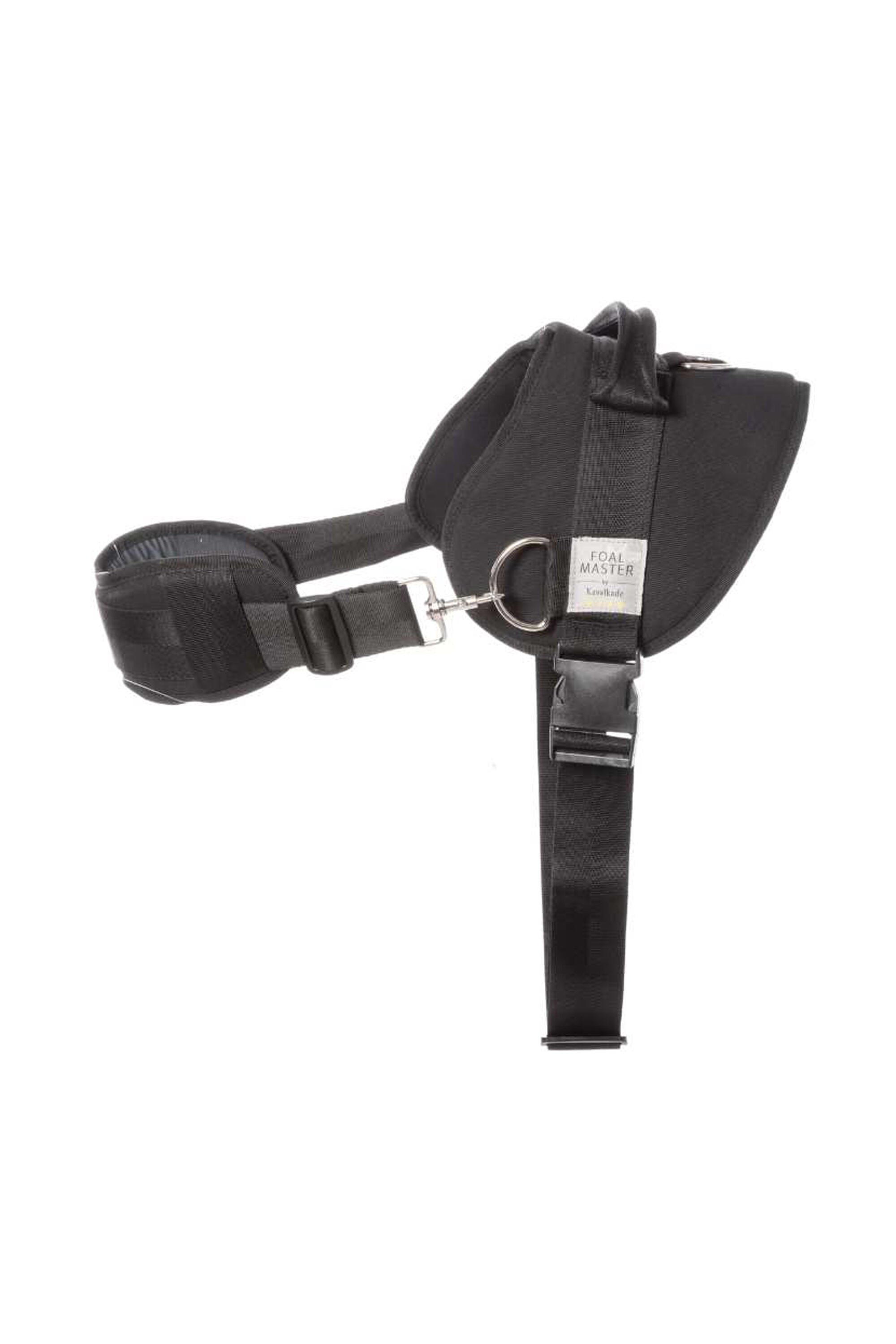 Kavalkade Foalmaster Harness med hndtag