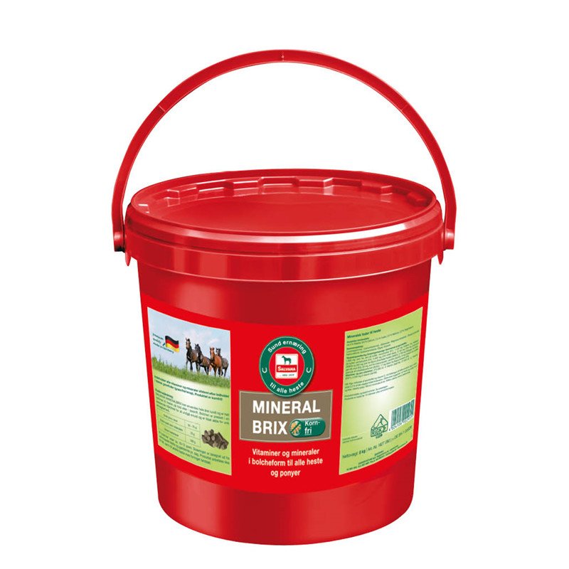 Salvana Mineral Brix 8 kg Spand