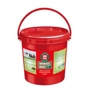 Salvana Mineral Brix 8 kg Spand