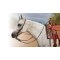 Professional`s Choice Rawhide Romal Reins, Western tjler