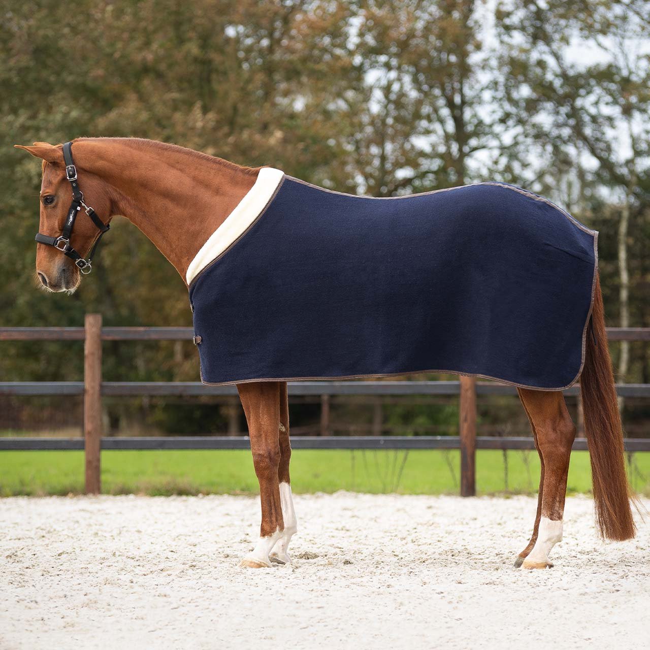 QHP Wool rug Deluxe