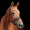 SD Design Gracieux Trense