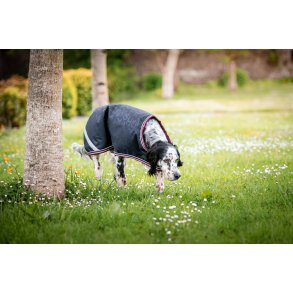 Amigo Dog Rug Ripstop