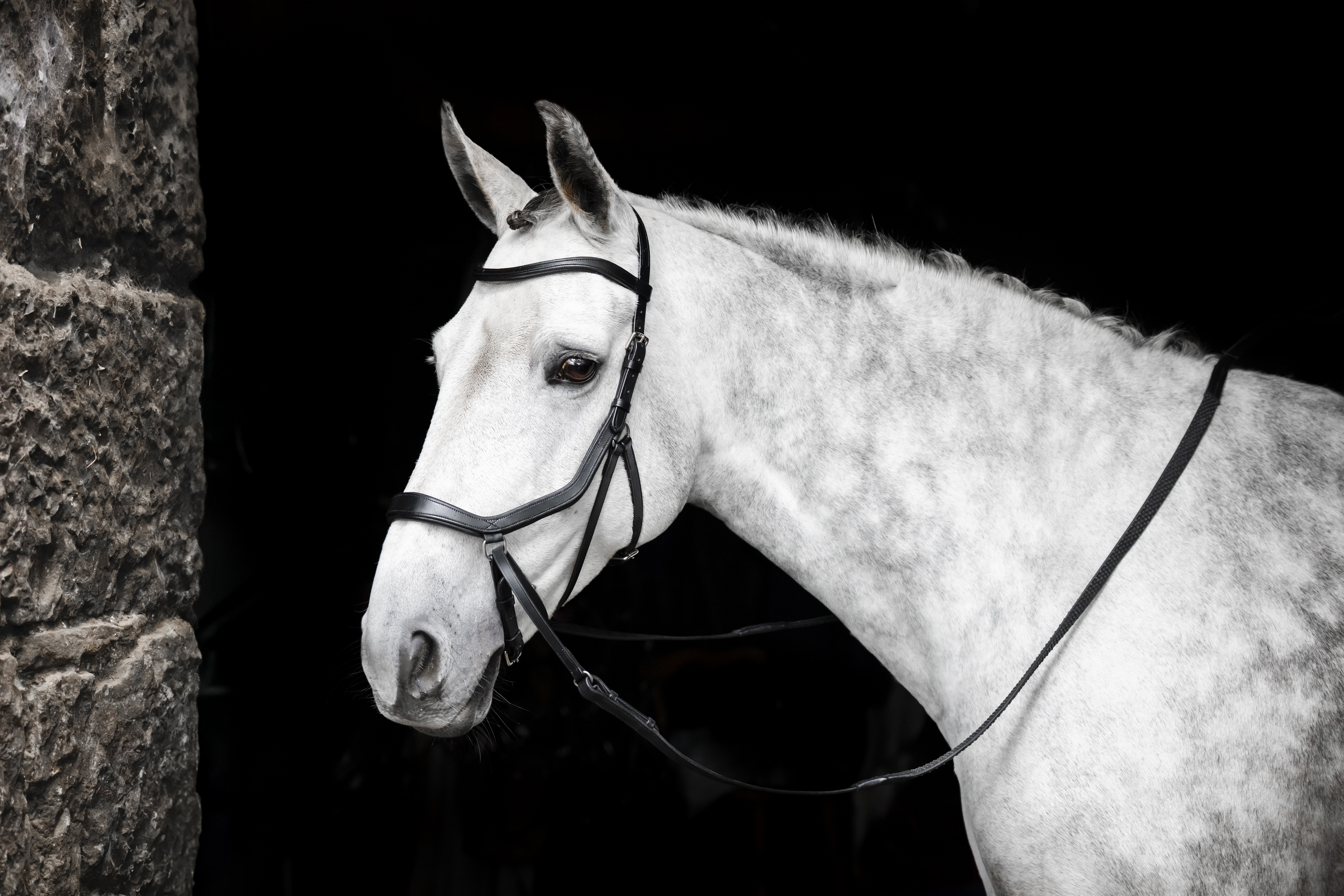 Horseware Micklem Bitless Bridle