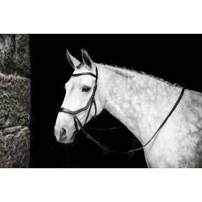 Horseware Micklem Bitless Bridle