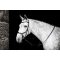 Horseware Micklem Bitless Bridle