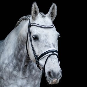 SD Design Mystery Rundsyet Bridle Sort Hvid med glitter
