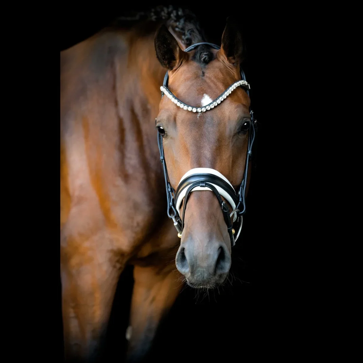 SD Design L Unique trense, black/white