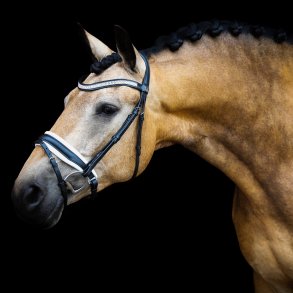 SD Design Night Noir Bridle i Sort / hvid