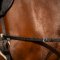 Imperial Riding indsp�ndingst�jler med elastik� - Sort