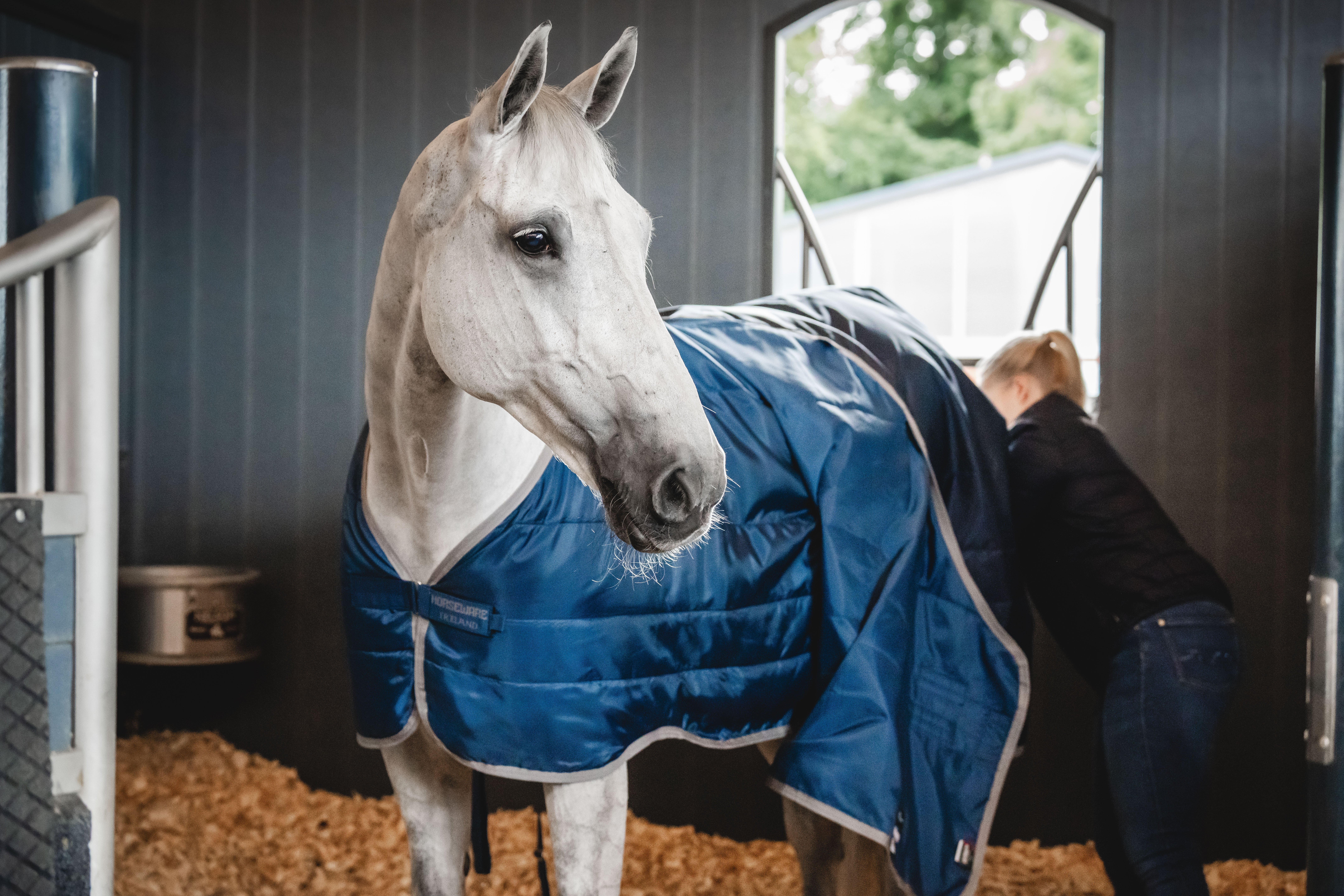 Horseware Ionic Therapy liner 50g