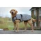 Weatherbeeta Comfitec Reflective Dog coat, silver