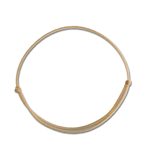 Waldhausen Linda Tellington-Jones Cordeo