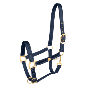 Waldhausen Florenz grime, Nightblue