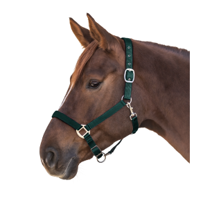 Waldhausen nylon grime Satin