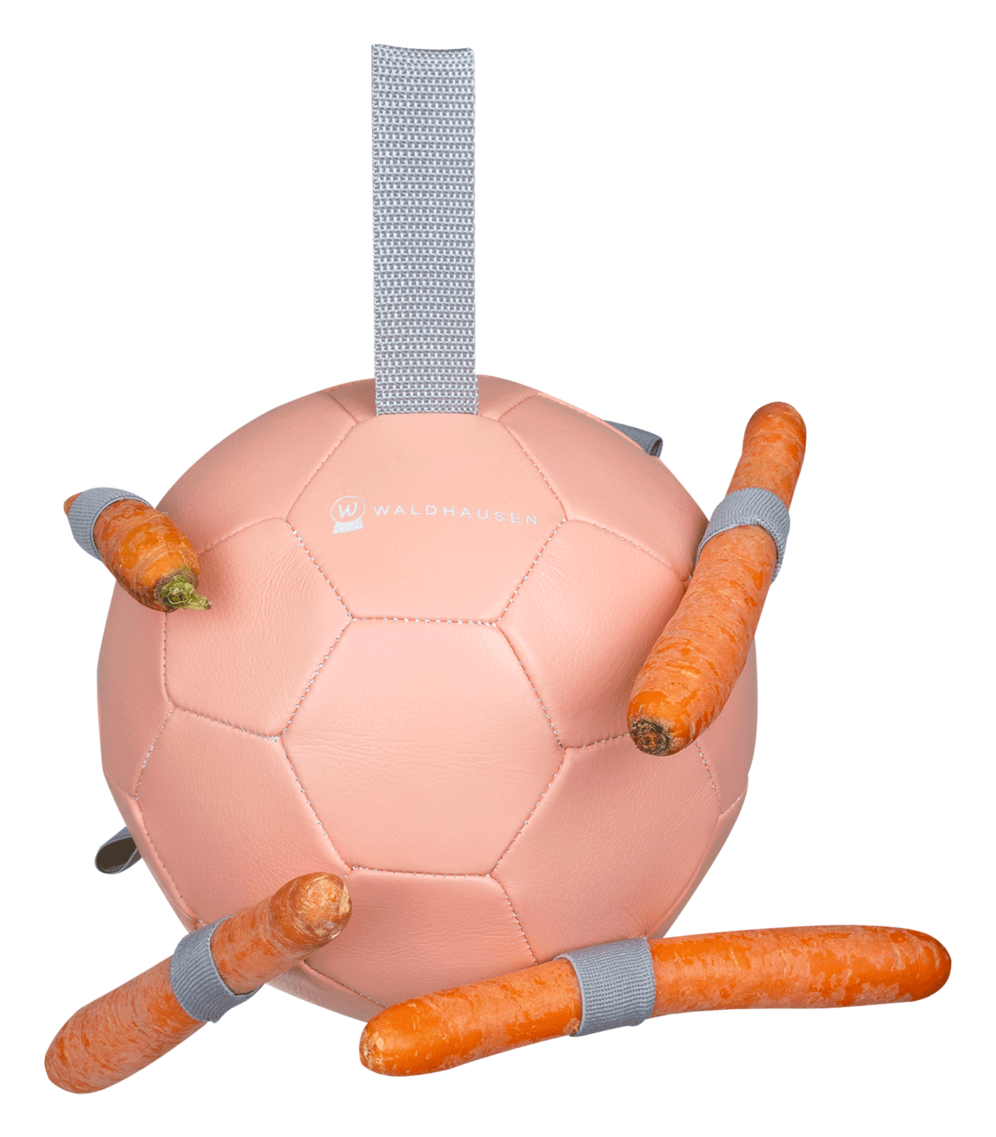 Waldhausen Carrot ball