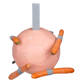 Waldhausen Carrot ball