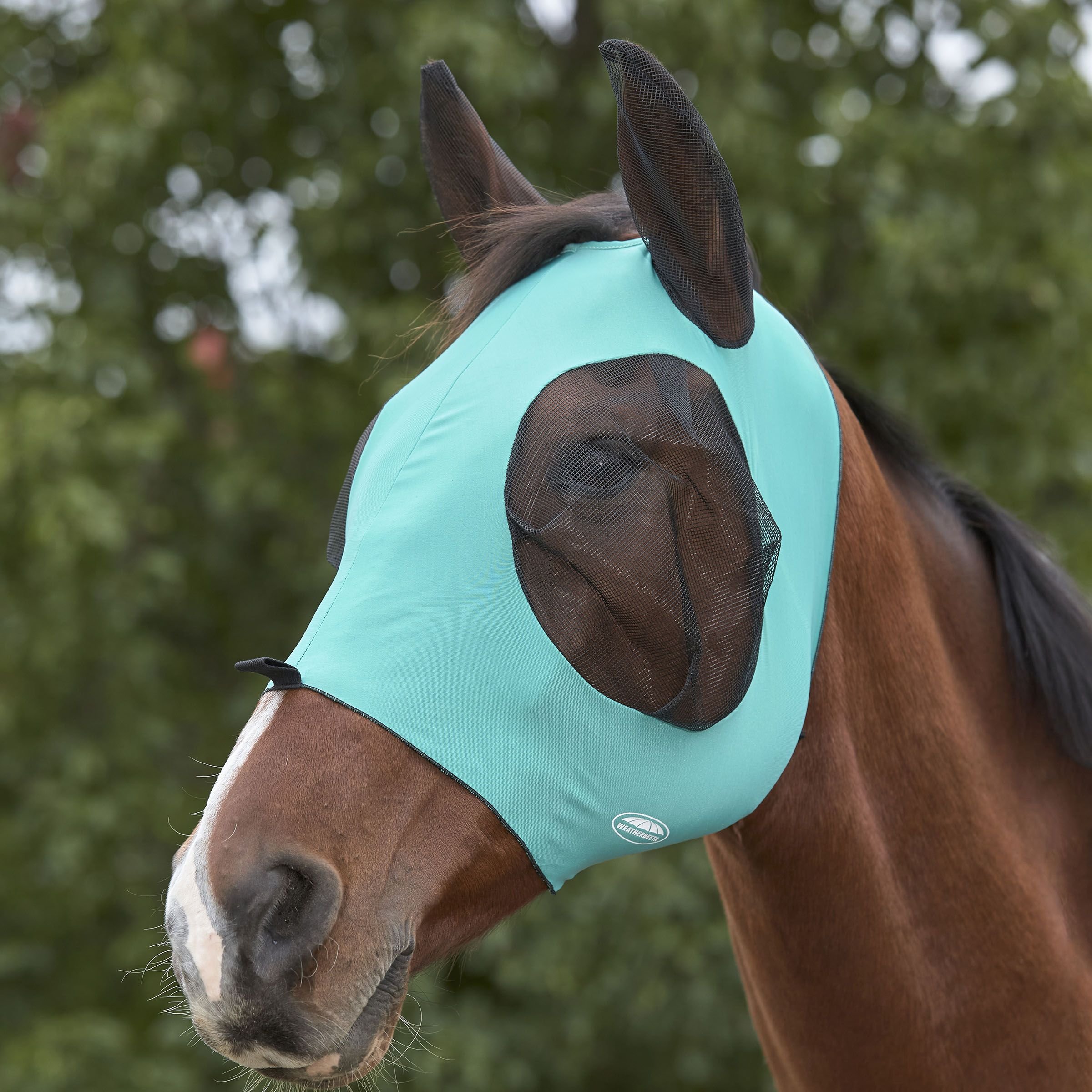 Weatherbeeta Deluxe Stretch Bug Eye fluemaske m rer, Turquoise/Black