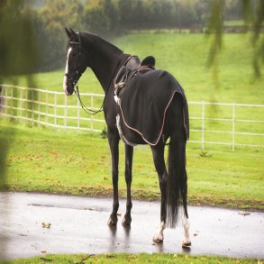 Rambo Fleece Competition