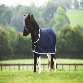 Amigo Petite Show Rug