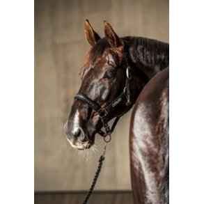 Catago Comfort Brilliant Grime