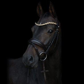 byWeber Amanda Gold trense