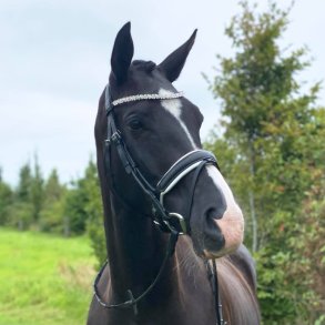 byWeber Andrea rundsyet trense hvid/sort