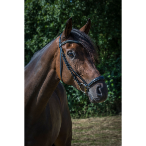 byWeber Fransisco trense med hannoveransk nsebnd