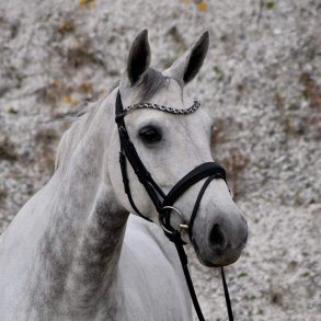 byWeber Rozetta trense