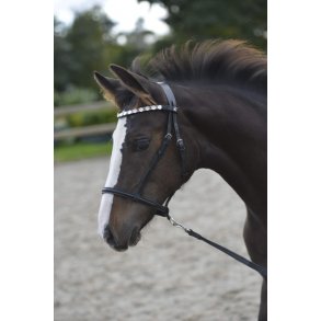 byWeber Fl showgrime m. maqurite sten