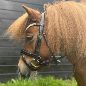byWeber Glory trense, shetland