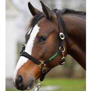 GreenGuard Special Grime