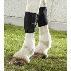 Back on Track knbandage hjre