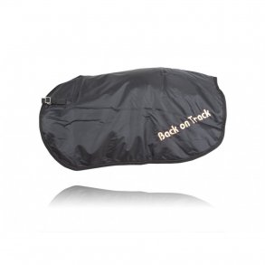 Back on Track Nyredkken 