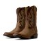 Ariat Stonebrook Herre st�vler 