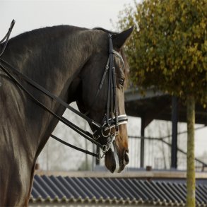 byWeber Kandar Paris deluxe