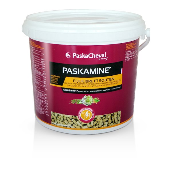 PaskaMine