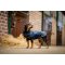 Horseware Signature Padded Dog rug 200 Gram