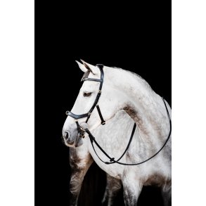 Horseware Micklem 2 Multi Bridle