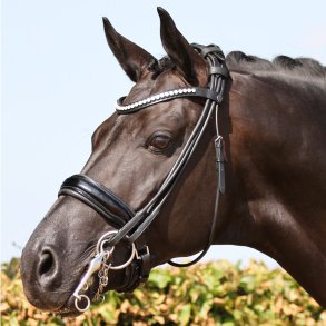 SD Design Envy Me rundsyet kandar, flere farver