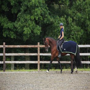 byWeber Temtex Ridedkken