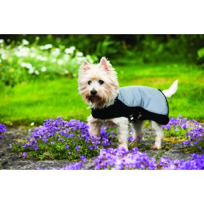 Rambo Sports Series Dog Rug