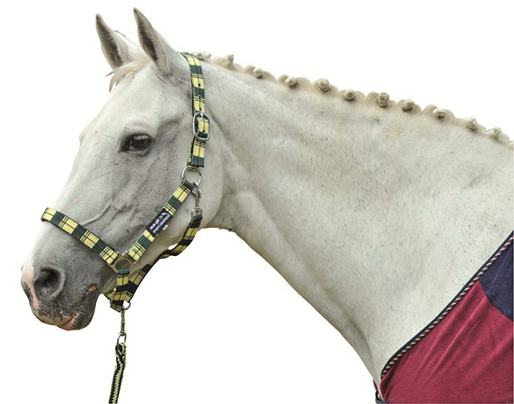 - Grimer og tilbehør