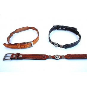 Blte med spnde texas stjerne