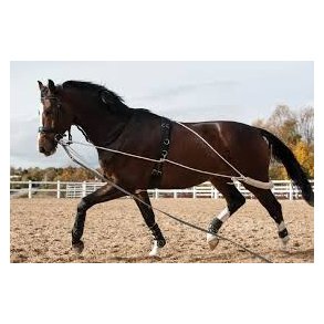 Catago Longeringssystem